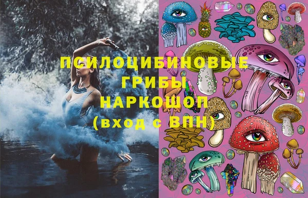 ГАЛЛЮЦИНОГЕННЫЕ ГРИБЫ Балабаново