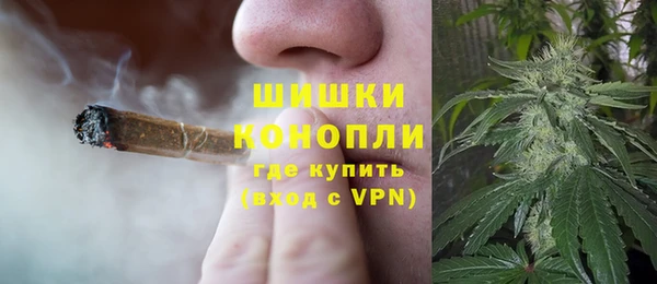 шишки Белокуриха