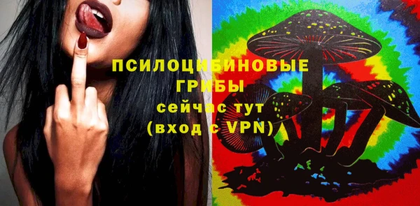 крисы Беломорск