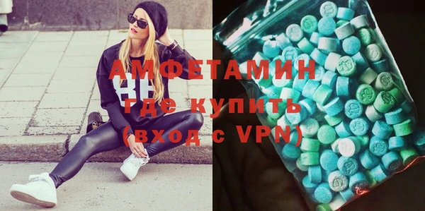 шишки Белокуриха