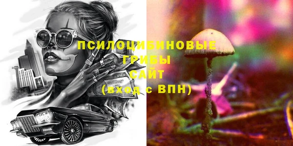 ГАЛЛЮЦИНОГЕННЫЕ ГРИБЫ Балабаново