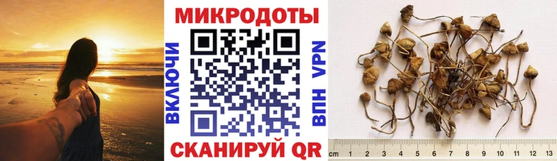 Галлюциногенные грибы GOLDEN TEACHER Щёкино
