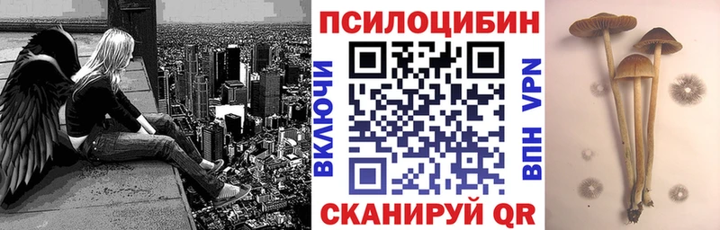 Псилоцибиновые грибы Psilocybine cubensis магазин продажи наркотиков Щёкино