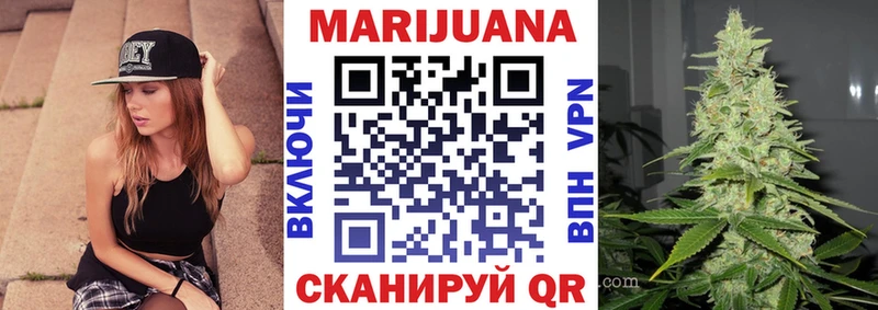 Каннабис план Щёкино